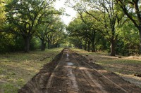 Туристичний об’єкт Рекреаційна територія Старо-бердянського лісництва