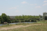 Зелена садиба «Сосновський янтар»