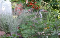 Зелена садиба «Алея троянд»